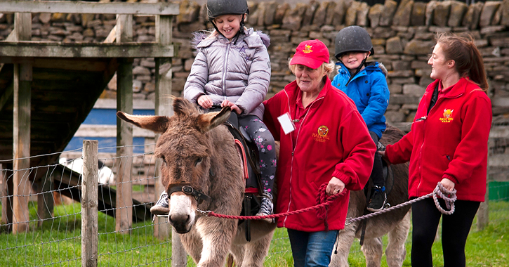 boy and girl enjoying donkey ride at Hall Hill Farm